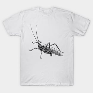 Dramabite Vintage grasshopper illustration T-Shirt